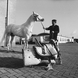 Archief Johan van Gurp 